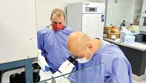 प्रयोगशाळेत बनवलेला मेंदू खेळतो व्हिडीओ गेम!