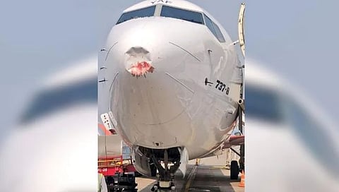 Akasa Air : ‘आकासा एअर’च्या विमानाला पक्षी धडकला, विमानाचे नुकसान