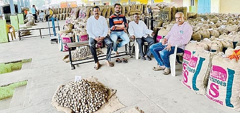 पावसामुळे मंचर बाजार समितीत बटाटा वाणाला उठाव नाही.