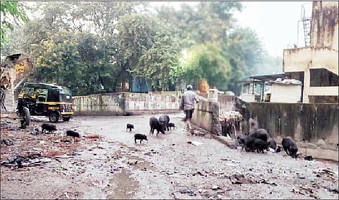 कोथरूड येथे कैलास कॉलनी परिसरात कचर्यामुळे पसरलेली अस्वच्छता.