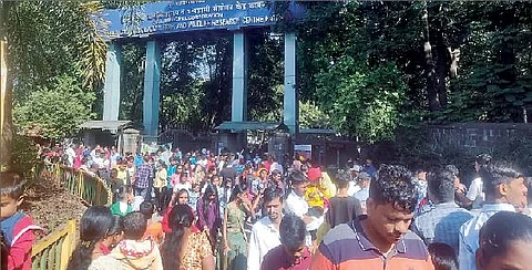 पुणे : प्राणिसंग्रहालयाचे तिकीट लवकरच ऑनलाइन