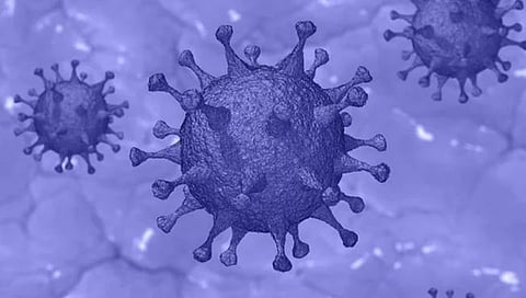 Omicron variant xbb 1.16