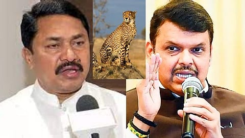 Political war : नाना पटोले मीडियाचे लक्ष वेधण्यासाठी अज्ञानीपणे बोलतात – देवेंद्र फडणवीस