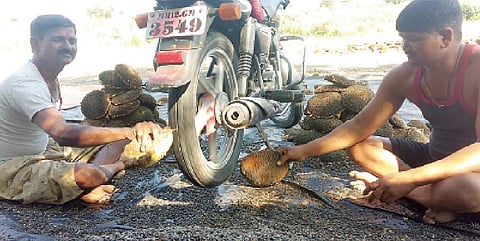 कामठवाडी येथील शेतकरी संभाजी भुजबळ दुचाकीच्या साह्याने सूर्यफुलाच्या बिया काढताना.