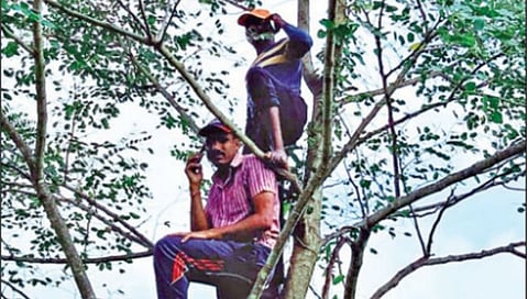 सातारा : रेंजसाठी घ्यावा लागतोय उंच झाडाचा आधार; 5 जीचा उपयोग काय?