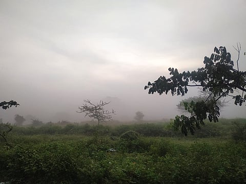 धुक्यात हरवले तळेगाव