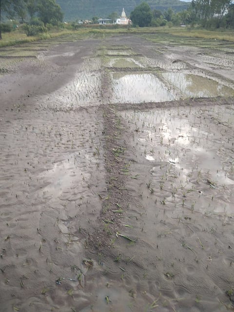 ओतूर: विजांच्या कडकडाटा आणि ढगांच्या गडगडाटासह ढगफुटी सदृश्य पावसाचे तांडव