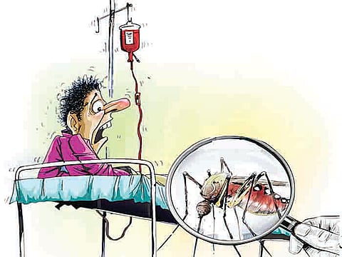 सावधान ! बदलत्या हवामानामुळे गावांमध्ये डेंग्यूचे रुग्ण
