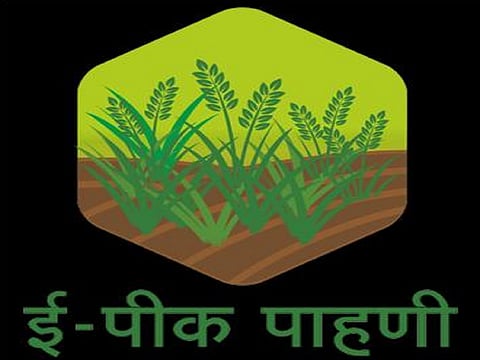 मोबाईल अॅपद्वारे तत्काळ पीक पाहणी नोंदवा : तहसीलदार पाटील