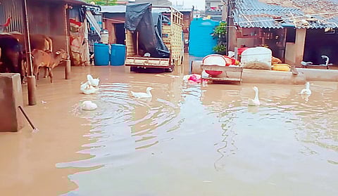 नगर तालुक्यात महापूर ! पावसाने शेतकर्यांची दाणादाण