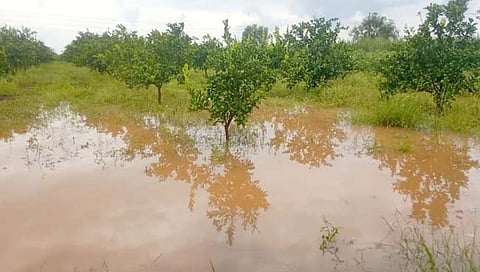 जालना : आता कसली आली दिवाळी? शेतकऱ्यांचा जीव मेटाकुटीला