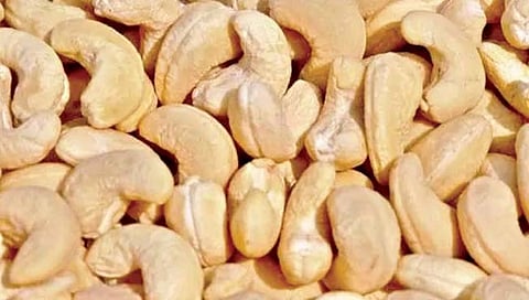 गोवा : ‘गोवा काजू’ नावाखाली ग्राहकांची फसवणूक