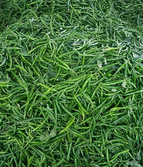 पिंपरी : आवक मंदावल्याने मिरची झाली तिखट