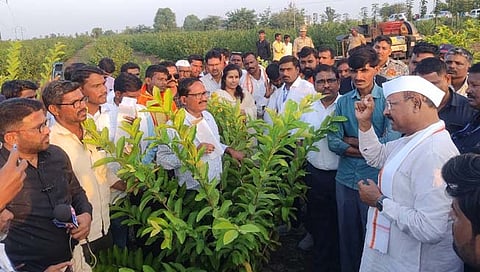 परभणी : कृषिमंत्री अब्दुल सत्तार, आमदार मेघना बोर्डीकर यांनी केली पीक नुकसानीची पाहणी