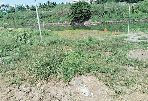 छटपूजेला प्रारंभ, तरीही पवना घाट अस्वच्छ