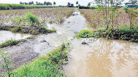 48 हजार शेतकर्यांना पावसाचा तडाखा ; शेतकर्यांचे 90 कोटी गेले पाण्यात