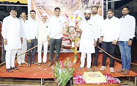 ‘सल्लू’चा वाढदिवस करून घडवले पशुप्रेमाचे दर्शन