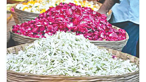 नैसर्गिक फुलांचा सुंगध कायम, दरवळ महागला