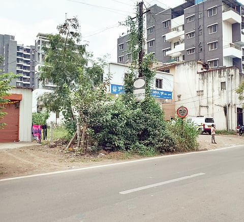 ताथवडे : वेलींच्या विळख्यात अडकले रोहित्र