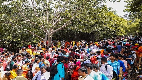 कोजागिरी पौर्णिमेनिमित्त तुळजाभवानीच्या दर्शनासाठी भाविकांची अलोट गर्दी