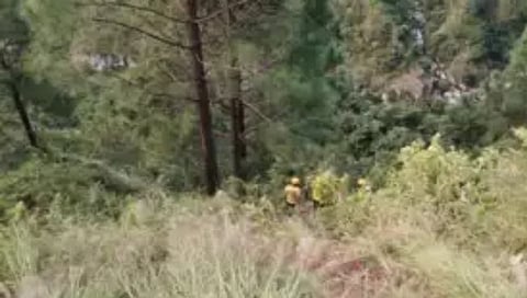 Uttarakhand Accident : व-हाडाची बस दरीत कोसळली, 25 जणांचा मृत्यू, मृतांचा आकडा वाढण्याची शक्यता