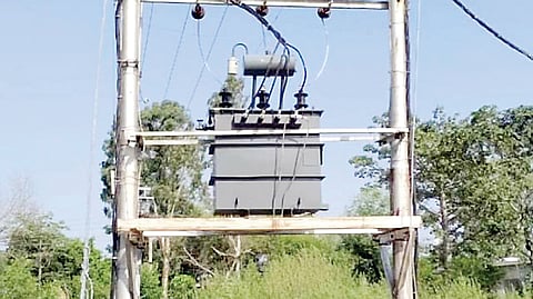 शेतकर्यांची वीज तोडणे, डी.पी. बंद करणे गैर ; राज्य अन्न आयोग अध्यक्ष ढवळे यांचे मत