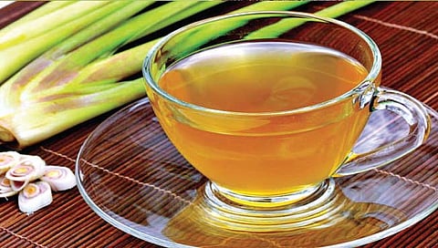 गवती चहा प्या, ‘हे’ आहेत आरोग्यदायी फायदे, जाणून घ्या अधिक