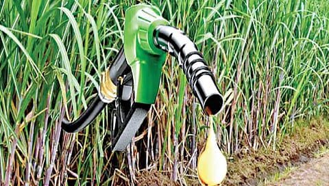 सांगली : ‘टार्गेट’ 140 कोटी लिटर्स इथेनॉल निर्मितीचे! .. उसाला जादा दर सहजशक्य