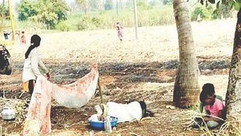 सांगली : तोडणी मजुरांची मुले शिक्षणापासून वंचित; पालकांसह शासनही उदासीन