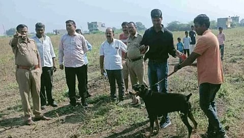 धरणगाव : चोरीप्रकरणी घटनास्थळी दाखल झालेले ठसेतज्ज्ञ व पोलीस पथक. (छाया: चेतन चौधरी)