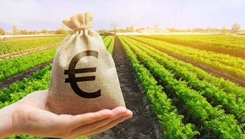 जळगाव | शेतकऱ्यांना पीक कापणी प्रयोगानुसार पीकविम्याची भरपाई द्या : खासदार उन्मेश पाटील यांची मागणी