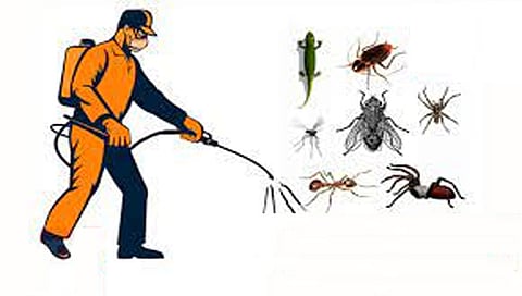 नाशिक : विशिष्ट ठेकेदारासाठी पेस्ट कंट्रोलच्या फेरनिविदेचा घाट