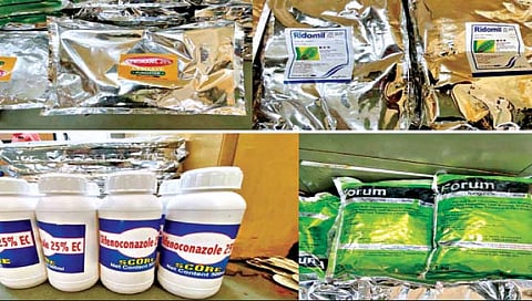 सांगली : 14.43 लाखांचे बनावट कीटकनाशक आष्ट्यात जप्त