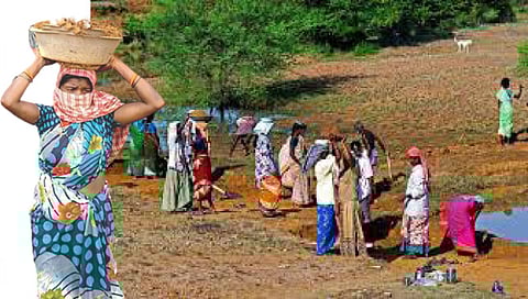 नाशिक : ’मनरेगा’चा 8 हजारांहून अधिक मजुरांना रोजगार