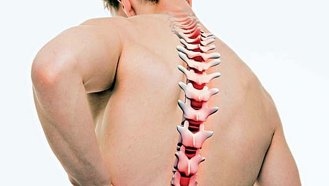 Back pain | पाठीचा मणका दुखतोय! ‘या’ ८ सवयी बदला, जाणून घ्या अधिक