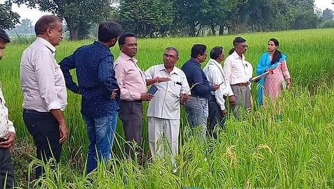 चंद्रपूर