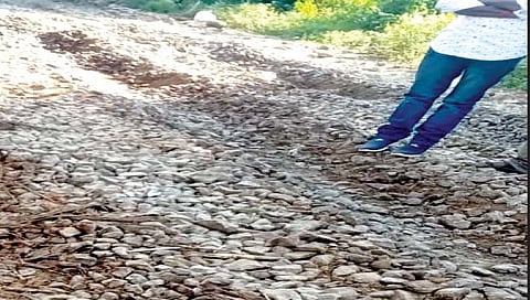 सातारा : अवजड वाहनांमुळे रस्ता बनला धोकादायक