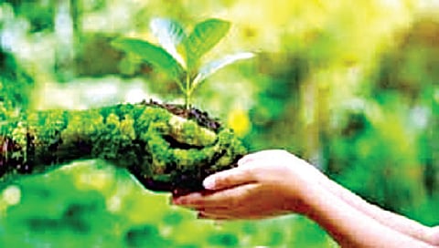 निमित्त : ‘शाश्वत’ विकास अन् कृतीची जोड