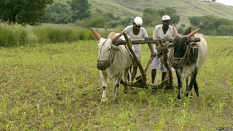 नगर : शेतकरी कंगाल; विमा कंपनी मालामाल..!