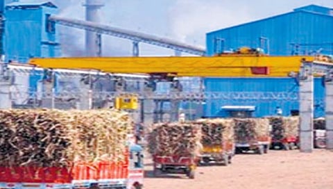 पुणे : राज्य सहकारी साखर कारखाना संघाच्या अध्यक्षपदी पांडुरंग पाटील