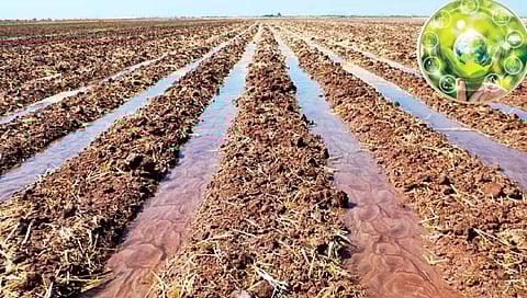 शाश्वत शेतीसाठी…