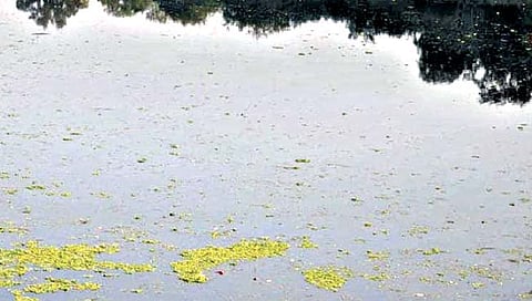 पंचगंगा प्रदूषण.. मूळ दुखण्याकडे दुर्लक्ष..!