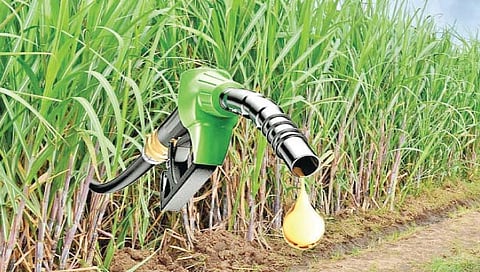 कोल्हापूर : इथेनॉलची दरवाढ मागणीच्या निम्मीच!