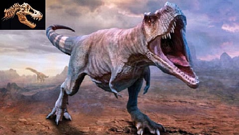 टी-रेक्स डायनासोर 70 टक्के अधिक मोठे
