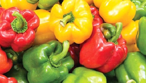 पिवळ्या सिमला मिरचीत अनेक आरोग्यदायी गुण