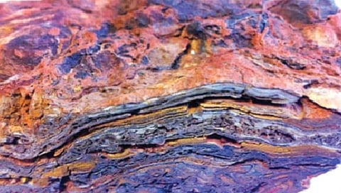 ‘या’ शिळांवर प्रारंभिक जीवसृष्टीच्या खुणा