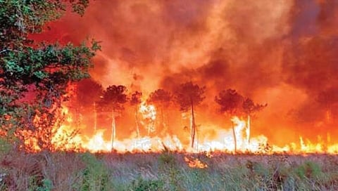 युरोपला बसतोय ग्लोबल वॉर्मिंगचा सर्वाधिक फटका