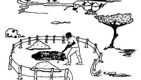 मृत जनावरांची विल्हेवाट,www.pudhari.news