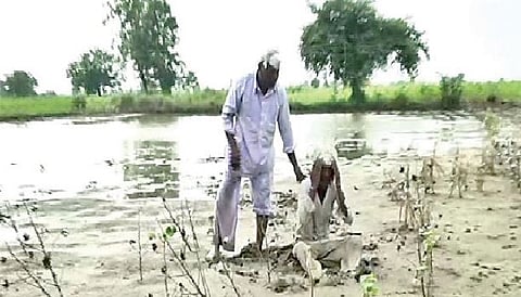 शेवगाव तालुका : सुधारित आणेवारीला प्रशासनाची नजर!