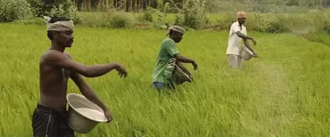 नवी दिल्ली : कृषी व कृषीपूरक उत्पादनांच्या निर्यातीत 12 टक्क्यांची वाढ